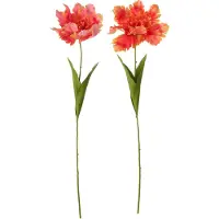 J-Line bloem Tulp Papegaai - textiel - oranje - set van 2
