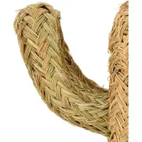 J-Line decoratie Cactus - riet - naturel - small