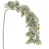 Buitengewoon Boet Phalaenopsis spray bensa groen 111 cm kunstbloem