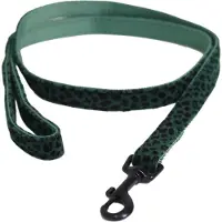 Kentucky Leopard Hondenriem