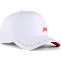 Puma F1 Pet