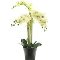 Buitengewoon Boet Rt phalaenopsis bora x5 in pot 60 cm white kunstplant