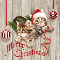 Ambiente kerst thema servetten - 20x st - 33 x 33 cm - poezen/katten print