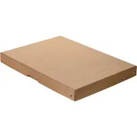 Falken PureBox Nature A3 archiefbox, voor maximaal 500 vel, met etiketveld, L 440 x B 320 x vulhoogte 40 mm, FSC karton, bruin