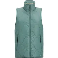 Regatta Dames Carlotte Gilet (Ivy Moss)