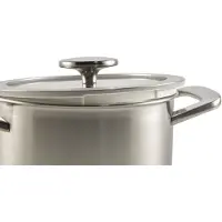 Habonne Allure Downdraft RVS 5ply kookpan 18 cm