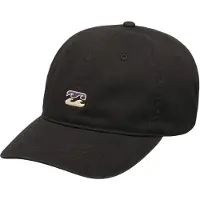 Billabong Icon Pet