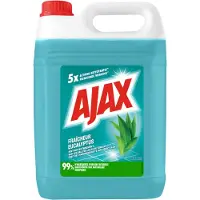 Ajax 2x Allesreiniger Eucalyptus 5 Liter