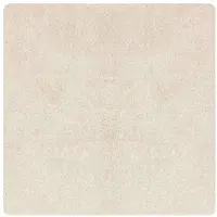 vidaXL Antislip Shaggy Tapijt Crèmekleurig 200 x 200 cm PP