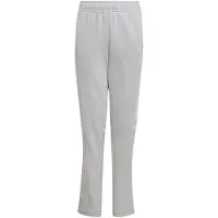 Adidas Sportbroek 'Squadra 25' lichtgrijs / wit