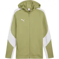 Puma Sportsweatvest 'teamEVOSTRIPE' kiwi / wit