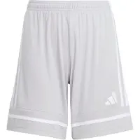 Adidas Sportbroek 'Squadra 25' grijs / wit
