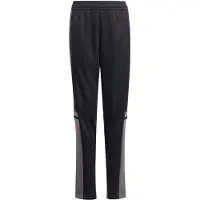 Adidas Sportbroek 'Squadra 25' cranberry / zwart