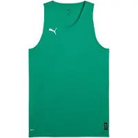 Puma Functioneel shirt 'Teamjaws Starter' groen / wit