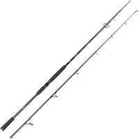 Spro Big Lure Spinning Rod Zilver 2.20 m / 40-120 g