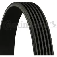 CONTITECH Multiriem 6PK1145 Contitech voor o.a. CITROEN, FIAT, FORD, PEUGEOT, RENAULT, SEAT, SUZUKI, TOYOTA, VOLKSWAGEN, VOLVO