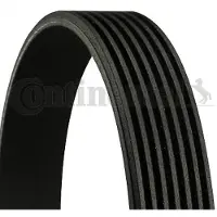 CONTITECH Multiriem 7PK1125 Contitech voor o.a. NISSAN, RENAULT
