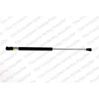 LESJÖFORS Gasveer, bagageruimte 8100714