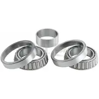 SNR Wiellagerset R141.39