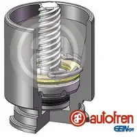 AUTOFREN SEINSA D025222K Zuiger, remklauw