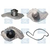 Saleri SIL PA1585 Waterpomp
