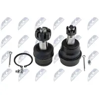 NTY Fuseekogel ZSD-CH-003