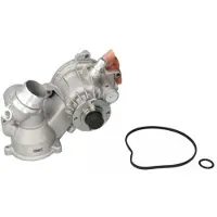 THERMOTEC Koelvloeistof pomp D1B036TT