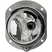 Hella Mistlamp 1N0 009 295-037 links