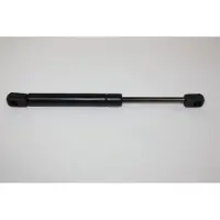 AUTOMEGA 100006910 Gasveer achterklep