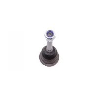 VAICO V20-7025-1 Fuseekogel