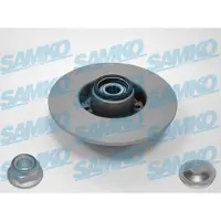 LPR Remschijf R1005PRCA