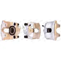 FERODO FCL692208 Remklauw