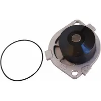 MAPCO 21019 Waterpomp