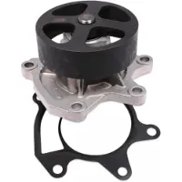HEPU P7398 Waterpomp