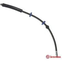 Brembo T 61 123 Remslang