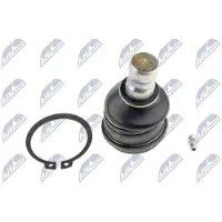 NTY Fuseekogel ZSD-CH-001