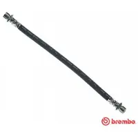 Brembo T 83 151 Remslang