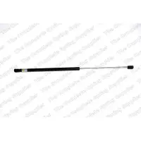 LESJÖFORS 8163431 Gasveer achterklep