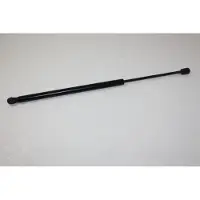 AUTOMEGA 100002210 Gasveer achterklep