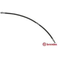 Brembo T 06 037 Remslang