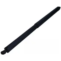 MAXGEAR 12-2254 Gasveer achterklep