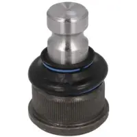REINHOCH Fuseekogel RH03-2022