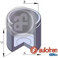 AUTOFREN SEINSA D02564 Zuiger, remklauw