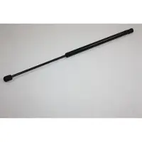 AUTOMEGA 100002110 Gasveer achterklep