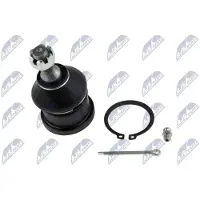 NTY Fuseekogel ZSG-CH-014