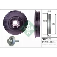 Schaeffler INA 544 0079 20 Riemschijvenset, krukas