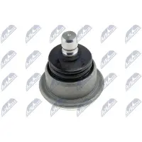 NTY Fuseekogel ZST-CH-002