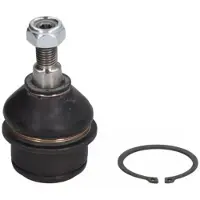 REINHOCH RH03-6009 Fuseekogel