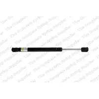 LESJÖFORS 8104230 Gasveer achterklep