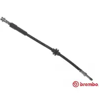 Brembo T 24 118 Remslang